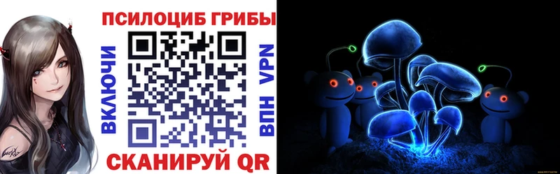 Псилоцибиновые грибы мицелий  Покров 